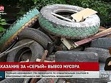 В Ростовской области намерены ужесточить наказание за так называемый &laquo;серый&raquo; вывоз мусора