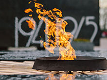 Водитель BMW покаялся за дрифт у Вечного огня