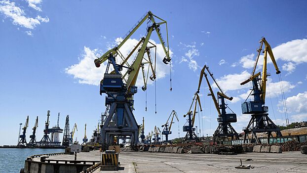 Порт Мариуполя может начать отправку грузов летом 2023 года