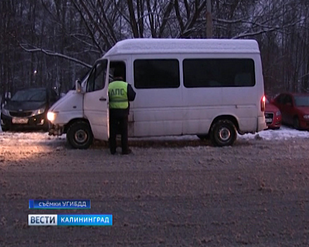 Калининградская Госавтоинспекция провела рейд по проверке общественного транспорта
