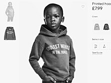 Американская общественность нашла новый объект для травли