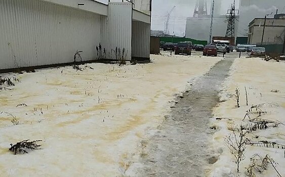 На Сегежском ЦБК назвали причину появления желтого снега в карельском моногороде