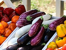 Диетолог посоветовала добавить в рацион фиолетовые продукты для профилактики рака