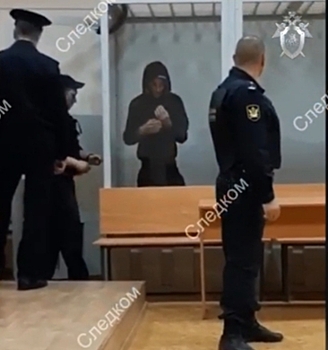 Убийство Лизы: Михаилу Туватину продлили срок ареста