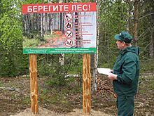 Особый режим продлили в Костромской области из-за надвигающейся жары