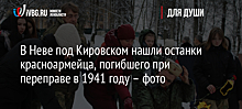 В Неве под Кировском нашли останки красноармейца, погибшего при переправе в 1941 году – фото