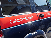 Появились подробности самоубийства российского миллиардера