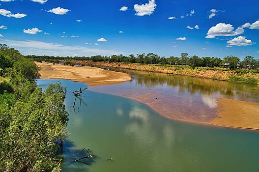 В России оценили пригодность реки с крокодилами для проведения соревнований Олимпиады