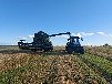 В КП-12 УФСИН России по Калининградской области началась уборка зерновых культур – озимой пшеницы и ячменя ярового