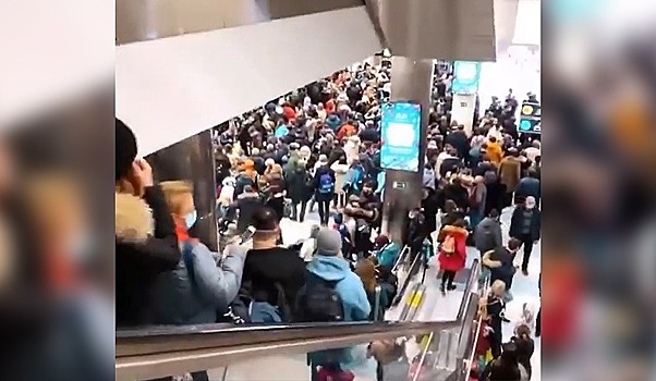 В Домодедово прокомментировали огромные очереди в аэропорту