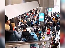 В Домодедово прокомментировали огромные очереди в аэропорту