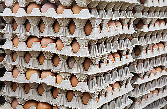 Власти Казахстана ввели временный запрет на импорт яиц