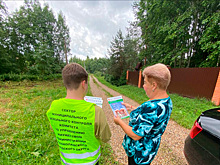 Стали известные самые частые нарушения с землей в Подмосковье