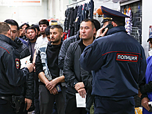 В Госдуме назвали спонсора «миграционного хаоса» в России