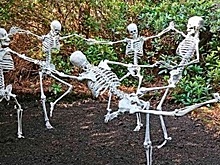 Странности, найденные в лесах