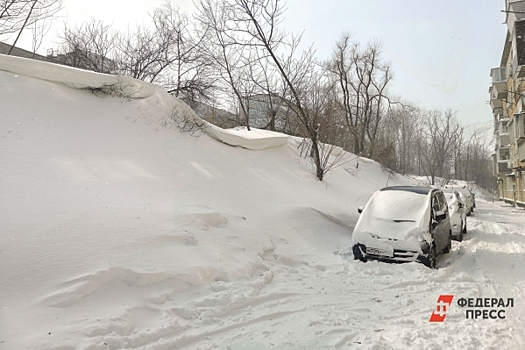 Метель обрушилась на Сахалин: дороги закрыли, уроки в школах отменили