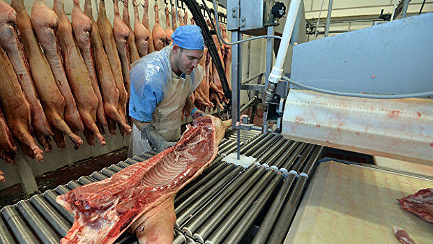 Власти Приморья не ожидают дефицита свинины из-за вспышки ящура