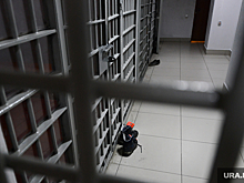 Второй чиновник задержан в Златоусте после обысков ФСБ