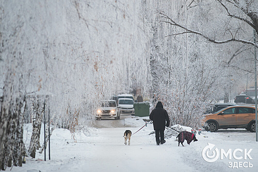 Морозы в Омске резко закончатся в выходные