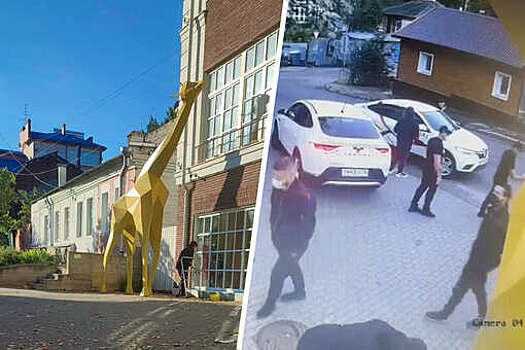В Воронеже 20 неизвестных в масках спилили пятиметрового жирафа