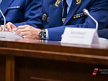 Челябинский депутат пожаловался в прокуратуру на главу района