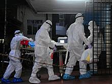 Россиянам назвали опасные для посещения страны из-за вируса Нипах