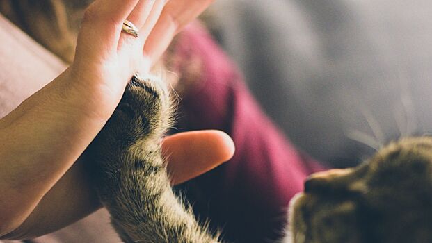 Нежность: от каких гормонов она зависит