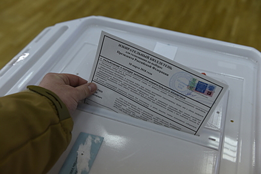 Явка на выборах в Подмосковье на 10:00 составила 8%