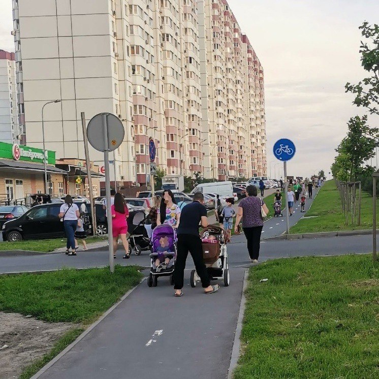 Велодорожки в парке
