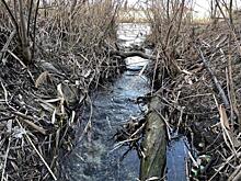 Курян ожидает потепление до +21 градуса