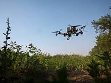 Военный РФ раскрыл число уничтожаемых за день расчетов дронов ВСУ