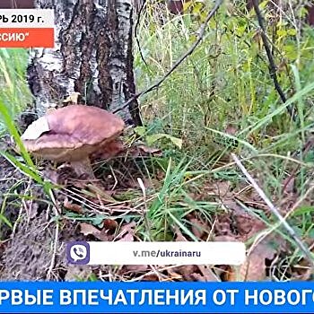 «Из Украины в Россию»: первые впечатления о новом доме