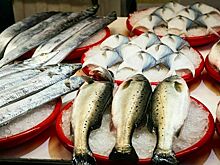 Закупку импортной рыбной продукции для госнужд предложили запретить