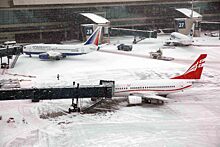 Почти 670 дебоширов не допустили или сняли с рейсов в аэропортах Москвы в 2016 году