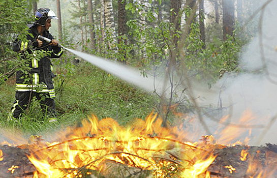 Лесные пожары будут тушить взрывами и искусственным дождем