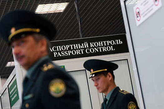 В Приморье ФСБ пресекла попытку вывоза мускуса кабарги на 12,3 млн рублей