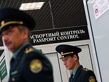 В Приморье ФСБ пресекла попытку вывоза мускуса кабарги на 12,3 млн рублей