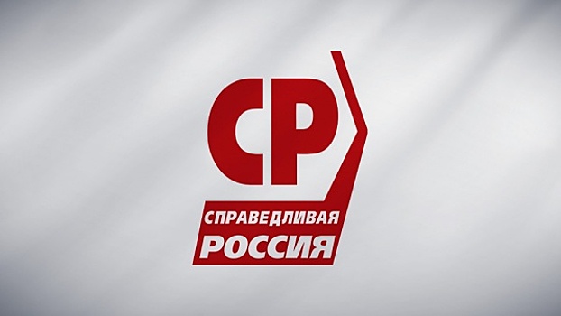 Прикамские справедливороссы провели партконференцию