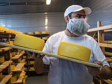 В России могут запретить сыроподобные продукты