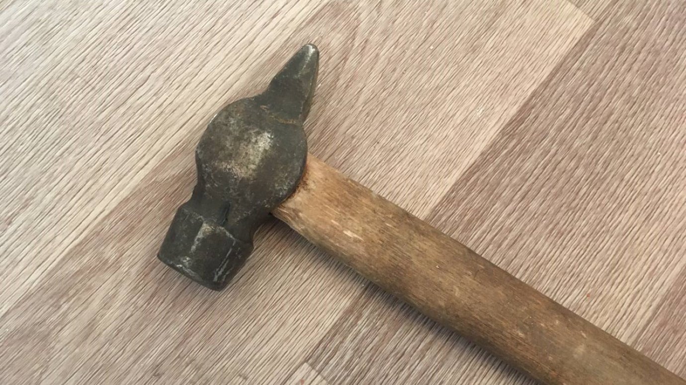 17 ударов по голове: пензенец забил нового знакомого молотком