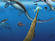 В Арктике нашли древнейшее морское сообщество эпохи динозавров