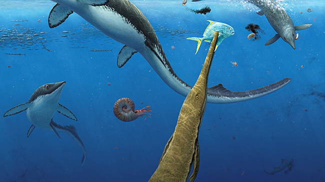 В Арктике нашли древнейшее морское сообщество эпохи динозавров