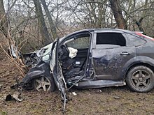 В Сердобском районе женщина на Ford Focus врезалась в дерево