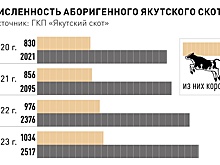Когда аборигенный якутский крупный рогатый скот начнут разводить в других регионах?
