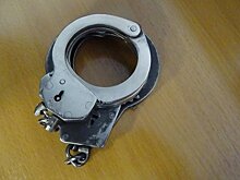 ФСБ: в Татарстане перевозчика 19 кг наркотиков посадили на 9 лет