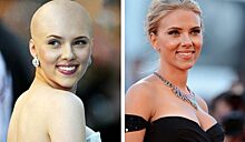 «Сменили имидж»: как бы выглядели Голливудские красотки с лысиной