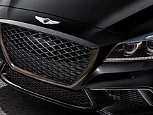 «Авангард» арендует две модели Genesis G80 Elite за 13,2 млн рублей
