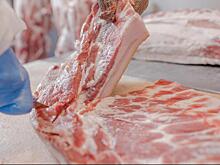 СавкинаЭкспертГрупп: экспорт свиных субпродуктов и шпика из России в 2025 году демонстрирует рост