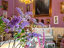 В Александровском дворце Царского Села снова зацвела сирень