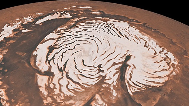 Веганам закрыли путь на Марс